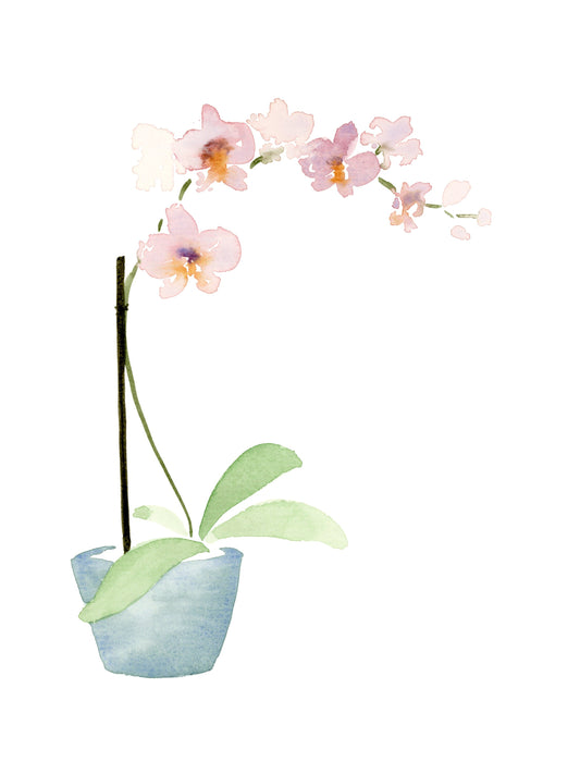 Watercolor Orchid Flower Print