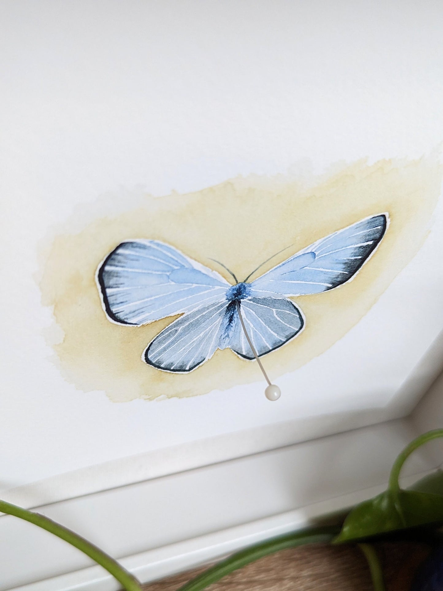 Watercolor Butterfly Print | Boisduval's Blue Butterfly