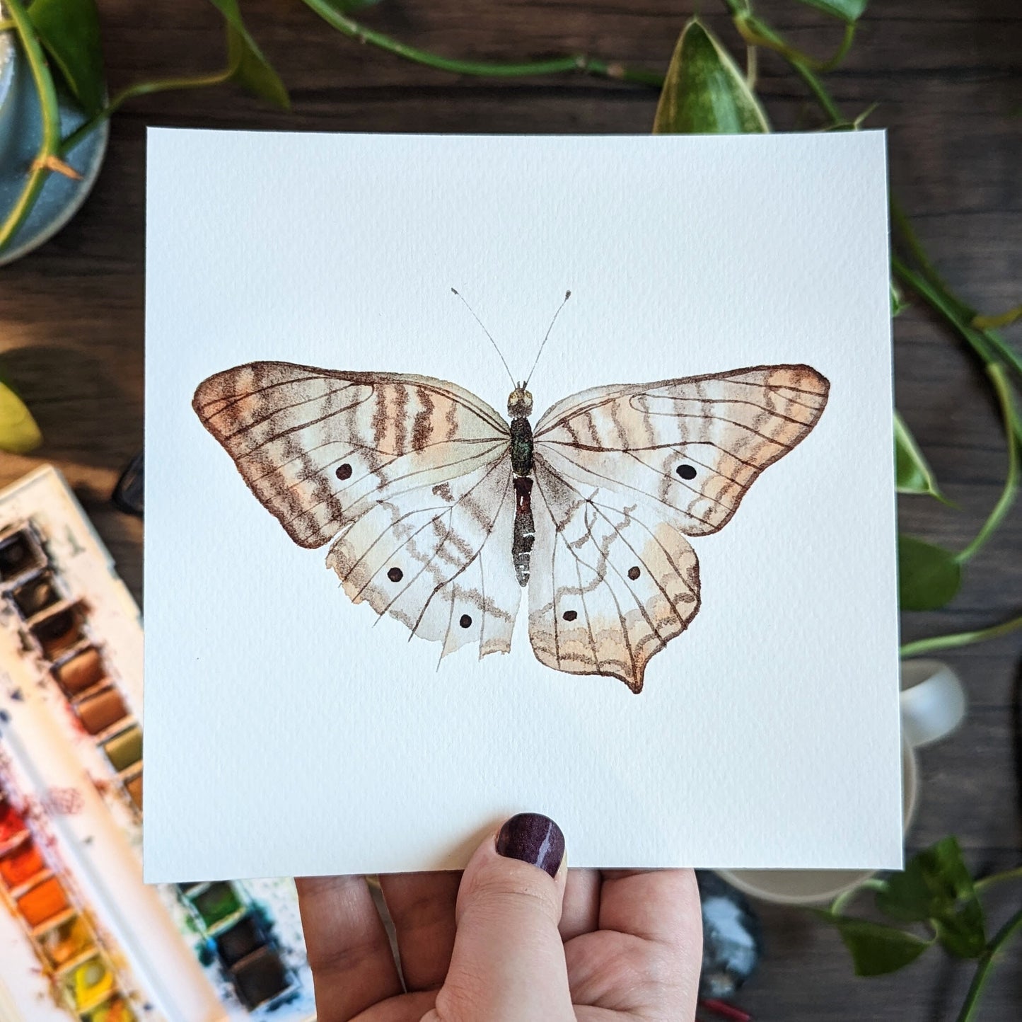 Watercolor Butterfly Print | White Peacock Butterfly