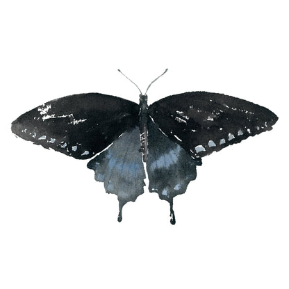 Black Butterfly Watercolor Print | Swallowtail Butterfly