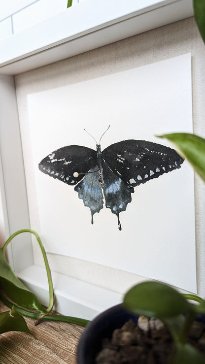 Black Butterfly Watercolor Print | Swallowtail Butterfly