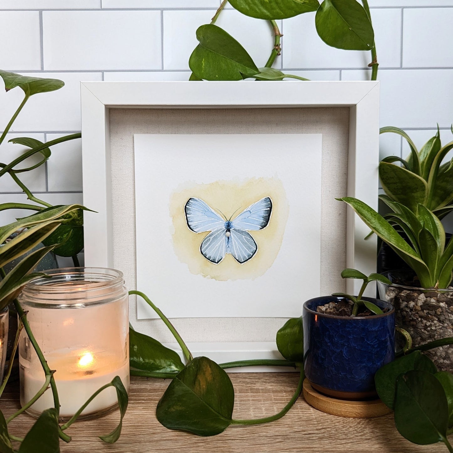 Watercolor Butterfly Print | Boisduval's Blue Butterfly