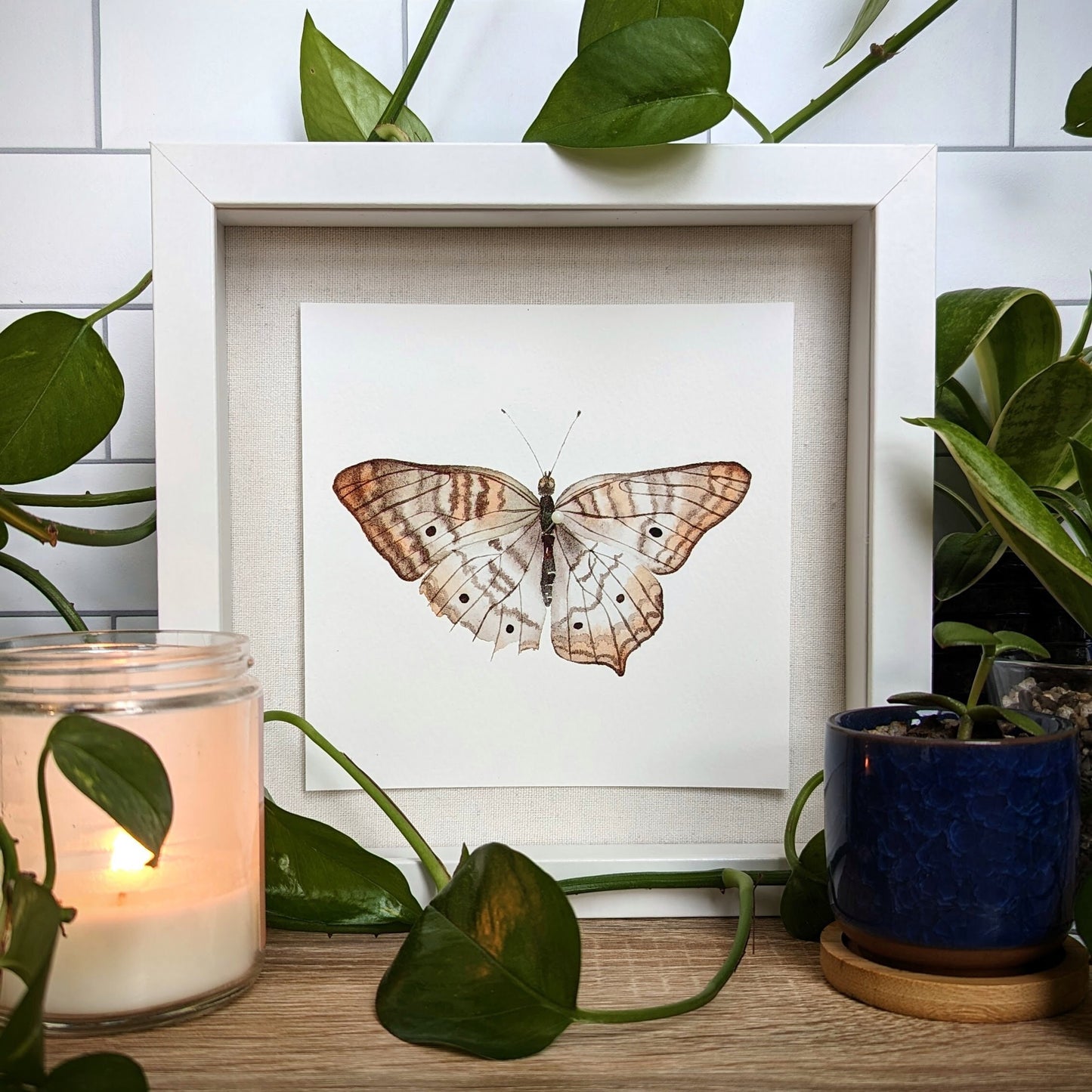 Watercolor Butterfly Print | White Peacock Butterfly