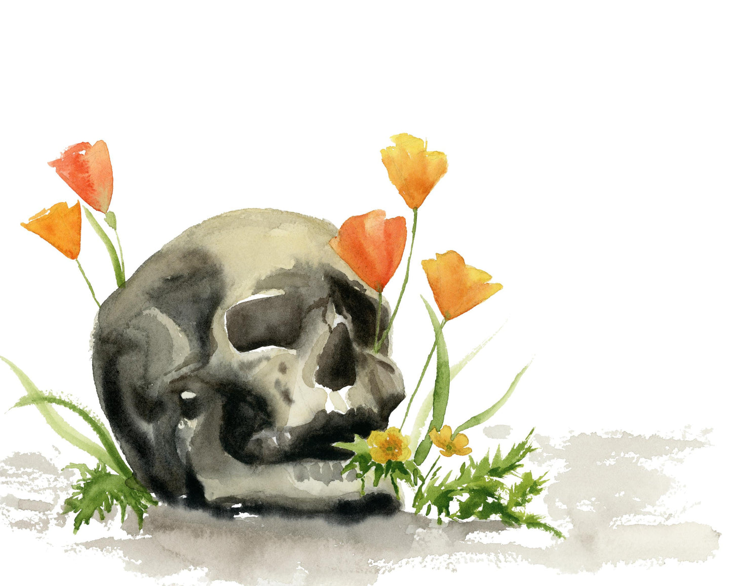 Skull and Poppies Watercolor Print | Moody Wall Art